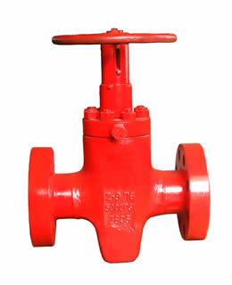 Gas Tree Pressure Testing