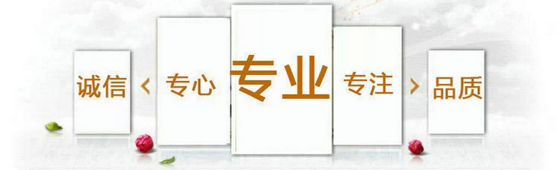 专业专注